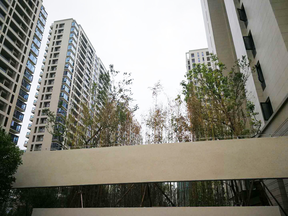 世贸绍兴人民路2号地块